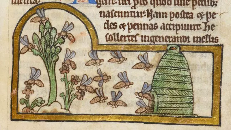 Detail of a miniature of bees collecting nectar and returning to their hive, from a bestiary with theological texts, England, c. 1200 - c. 1210,