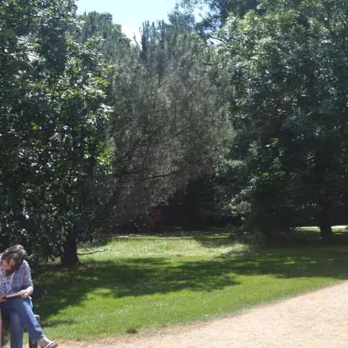 Studying in University Park