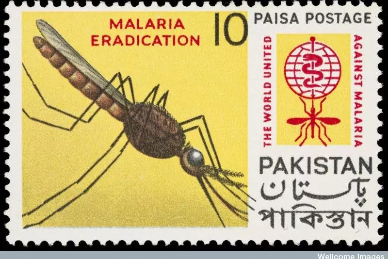 Malaria in Asia